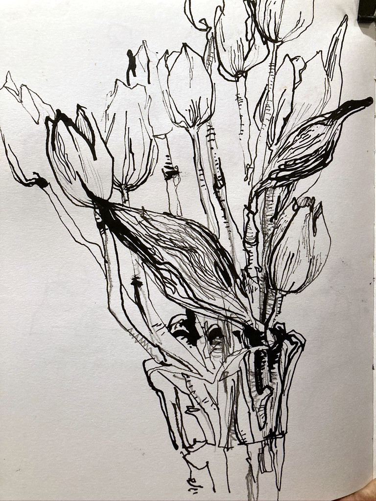Yellow Tulips | Sketch Away: Travels with my sketchbook